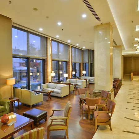 Marigold Thermal & Bursa