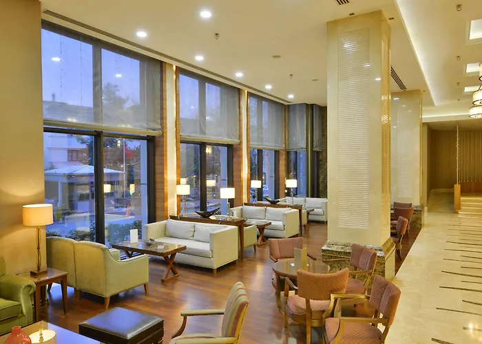 Marigold Thermal & Bursa